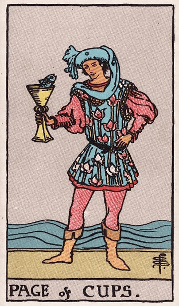 Page of Cups 圣杯侍卫