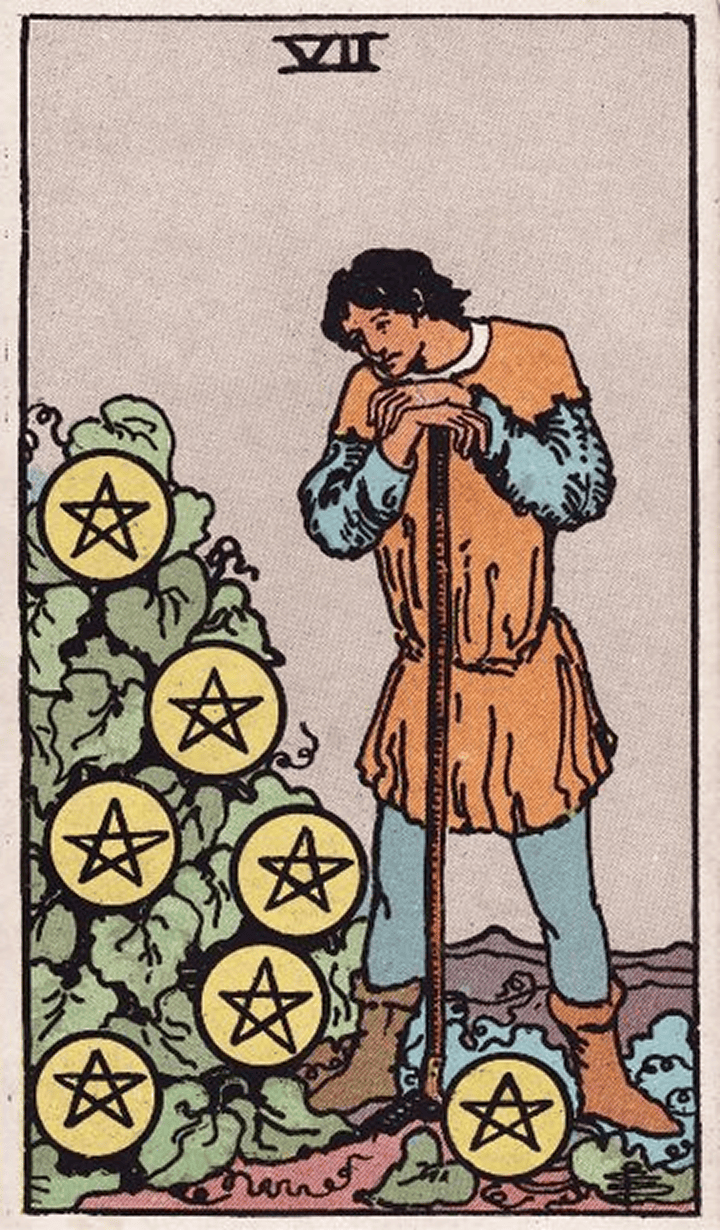 Seven of Pentacles 星币七