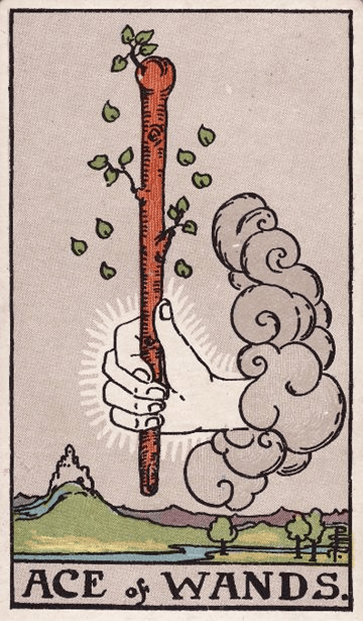 Ace of Wands 权杖一