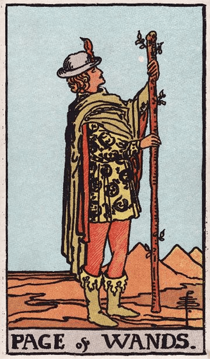 Page of Wands 权杖侍卫